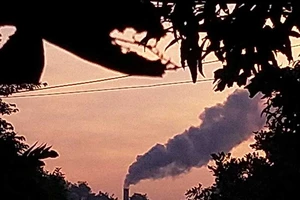 Bình Chánh: Dân than ngạt thở vì khói