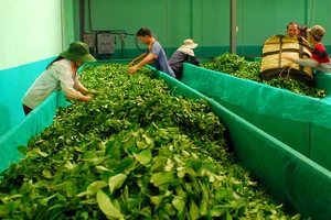 ‘Bứt phá 2019’ - phải được xem như mệnh lệnh