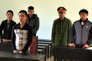 Ăn 10 cây gỗ rừng rưng rưng gỡ 1 cuốn lịch