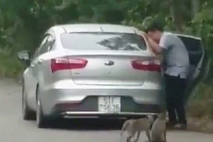 Đến Cần Giờ trêu khỉ, bị nghi ăn trộm