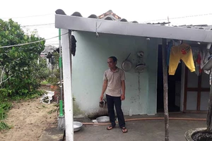 Rắc rối vụ án nghi mất cây mai cảnh