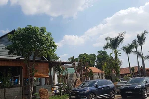 Đồng Nai: ‘Xẻ thịt’ đất công cho thuê, xây dựng bát nháo