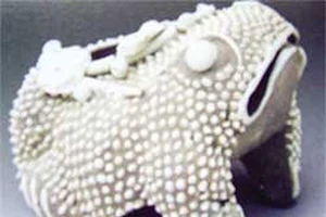 Cuộc đấu giá ‘làm ngạc nhiên cả thế giới’