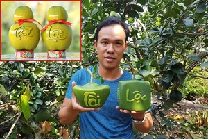 Độc đáo trái cây Tết tạo hình bằng công nghệ mới