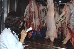 Ngăn heo lở mồm long móng vào TP.HCM