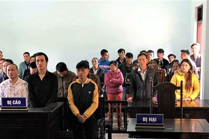 Lãnh 66 tháng tù vì đòi bảo kê… bãi dưa hấu