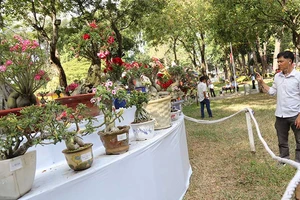 Hoa đẹp, kiểng lạ 4 phương tràn ngập TP.HCM