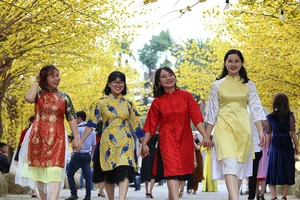 Rộn ràng đón Tết Kỷ Hợi