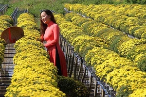 Hà Nội, Đà Nẵng: Các khu vui chơi Tết