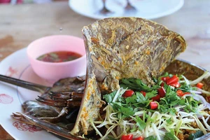 Đến cửa sông thưởng thức sam biển Cần Giờ