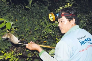 Chuyện lạ miền Tây