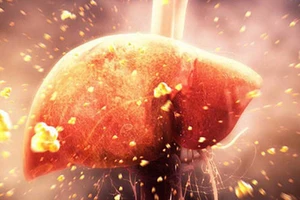 Sát thủ kịch độc - ‘Dấu vân tay’ hung thủ trên ADN tế bào