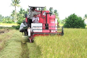 Vựa lúa gạo của cả nước chờ được ‘giải cứu’