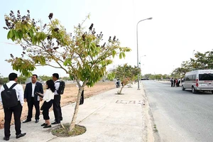 Đầu tư bất động sản lan rộng về tỉnh lẻ