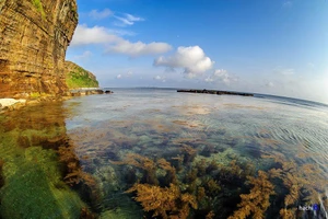 Hãy thận trọng với Lý Sơn!