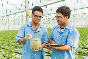 Mượn tay ngoại đưa hàng Việt ra thế giới