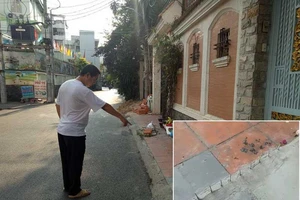 Vụ hàng đinh trên vỉa hè: Chủ nhà không phải đảng viên