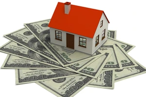 HoREA khuyến nghị doanh nghiệp địa ốc phát hành trái phiếu