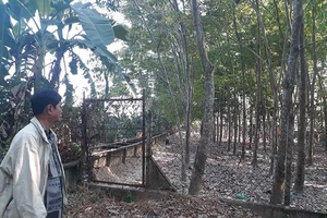 16 năm mòn mỏi chờ huyện trả lại con đường đi