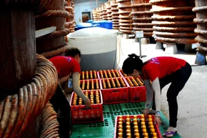 Tranh cãi kịch liệt về tiêu chuẩn nước mắm