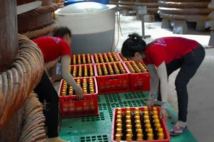 Vụ tiêu chuẩn về nước mắm: Tạm dừng, rồi sao nữa?