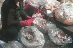 Ớn lạnh gà bán trong trung tâm giết mổ gia cầm