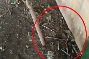 Tụ điểm chích ma túy dưới gầm cầu trung tâm TP.HCM