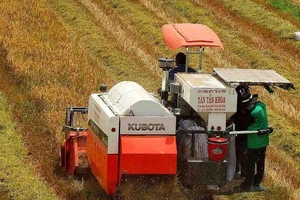 Mô hình tích tụ đất đai nào cho sản xuất lớn?