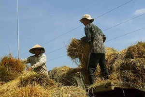 Có đất đai lớn thì mới sản xuất hàng hóa lớn