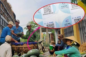 Dưa hấu Việt dán tem Trung Quốc là không sai