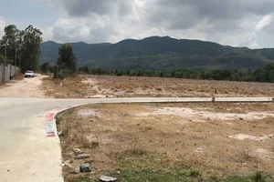 Được tòa tuyên thắng kiện nhưng đương sự khóc ròng