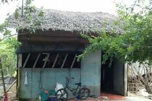 Khi cơ quan thi hành án thành ‘con nợ’