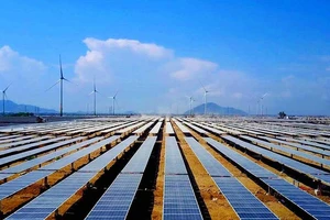 Bình Thuận phản ứng giá mua điện mặt trời quá thấp