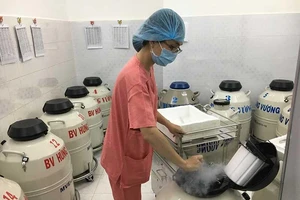 Bệnh viện lúng túng trữ ‘mầm sống’ không người nhận