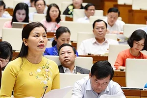 Đại biểu lo lắng tình hình tội phạm, đạo đức xuống cấp