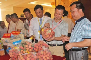 Thương nhân Việt bất ngờ với nhiều quy định mới của Trung Quốc