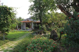 Độc đáo ‘nhà trong rừng’ sát trung tâm thành phố