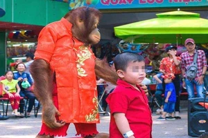 Công viên Đầm Sen nói về thông tin có đười ươi diễn xiếc