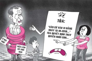 Cha ngoại, mẹ Việt giành nhau nuôi con