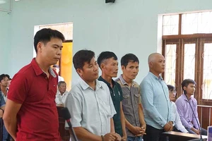 Lý giải của Tòa Cấp cao Đà Nẵng về vụ cưa gỗ khô