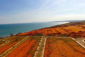 Rao bán biệt thự trên đất trồng rừng