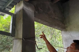 Hàng chục hộ sống trong nhà nứt, mùi hôi nồng nặc