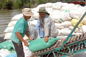 Gắn camera cho nông sản Việt