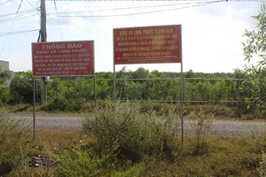 Quyết liệt ngăn các dự án ma của Alibaba