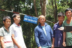 Vụ cưa gỗ khô: Không thể tùy tiện trong áp dụng pháp luật