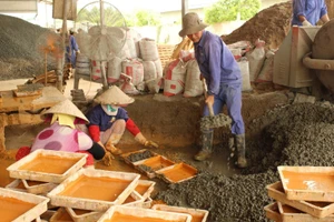 Tòa quận xử UBND TP Cần Thơ thua kiện