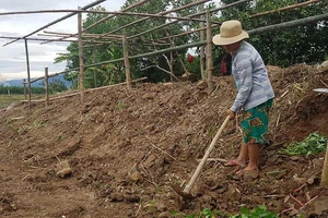 Đà Nẵng: Hơn 600 ha đất nông nghiệp bị ‘bức tử’