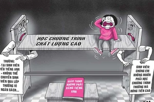 Đào tạo chất lượng cao nhưng dạy bằng tiếng Việt