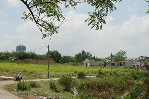 Đất hỗn hợp, dân cư xây mới được chuyển mục đích, xây nhà