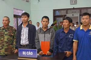 Vì sao chưa thể tuyên án vụ cưa gỗ khô?